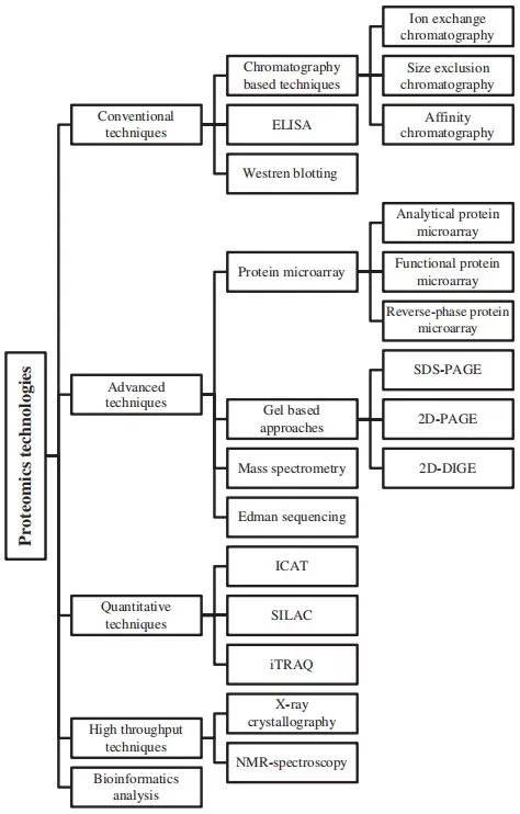 Figure 1. Overview of proteomics technologies from conventional methods to advanced mass spectrometry–based approaches. Figure 1. Overview of proteomics technologies from conventional methods to advanced mass spectrometry–based approaches.